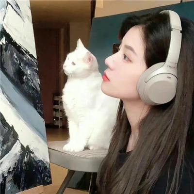 名校的阶梯